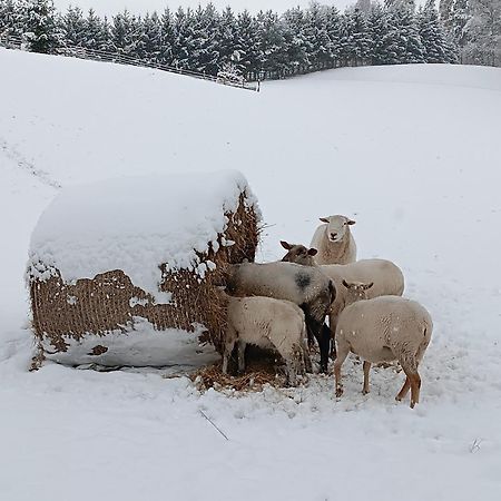 Ubytování Na Vejminku Rtyne v Podkrkonosi Exterior foto