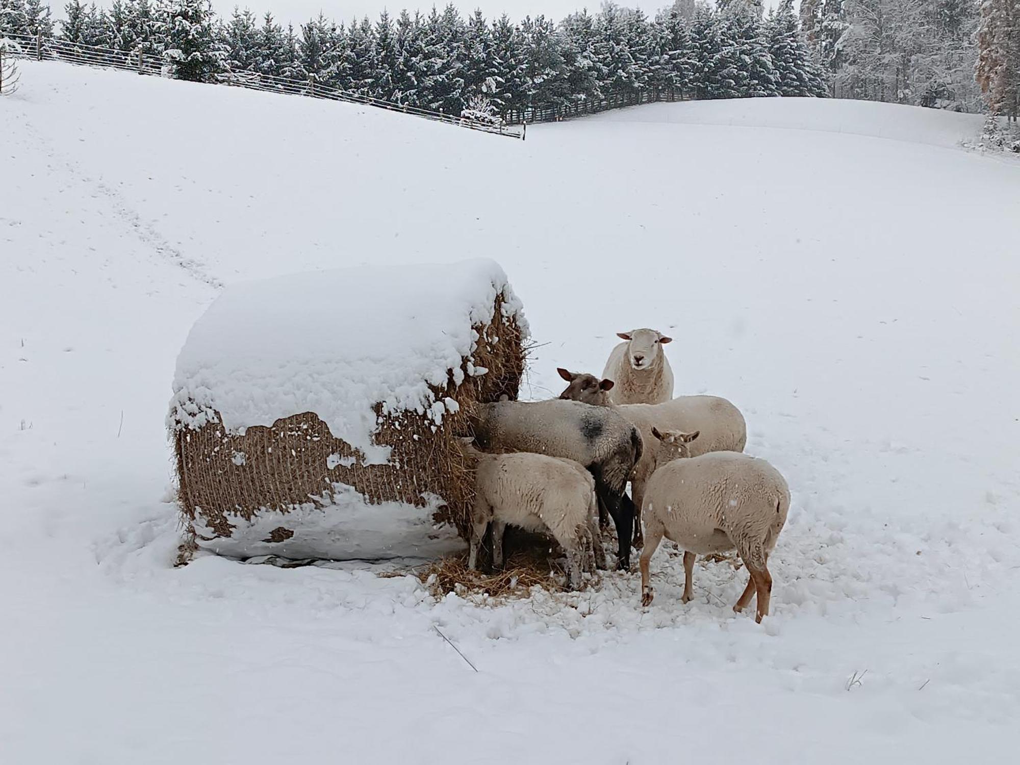 Ubytování Na Vejminku Rtyne v Podkrkonosi Exterior foto