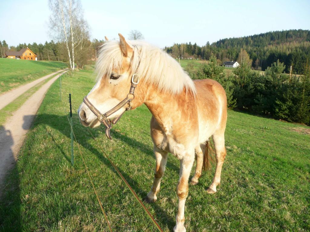 Ubytování Na Vejminku Rtyne v Podkrkonosi Exterior foto