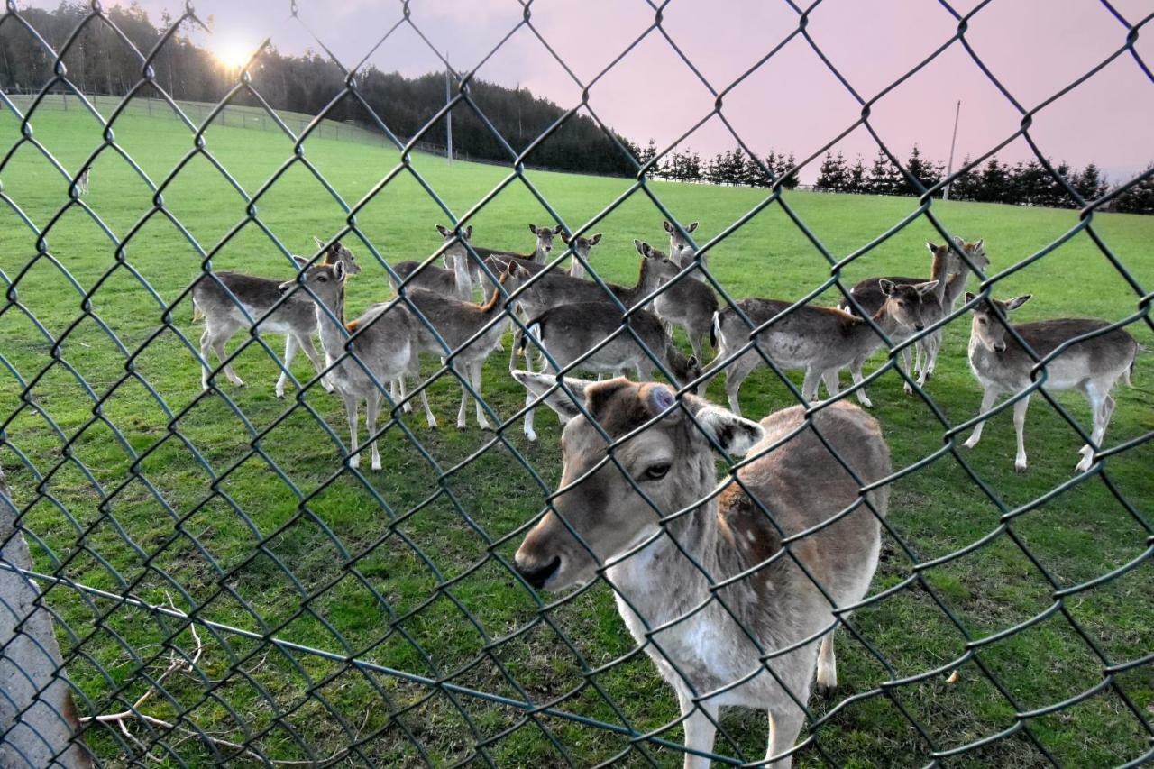 Ubytování Na Vejminku Rtyne v Podkrkonosi Exterior foto